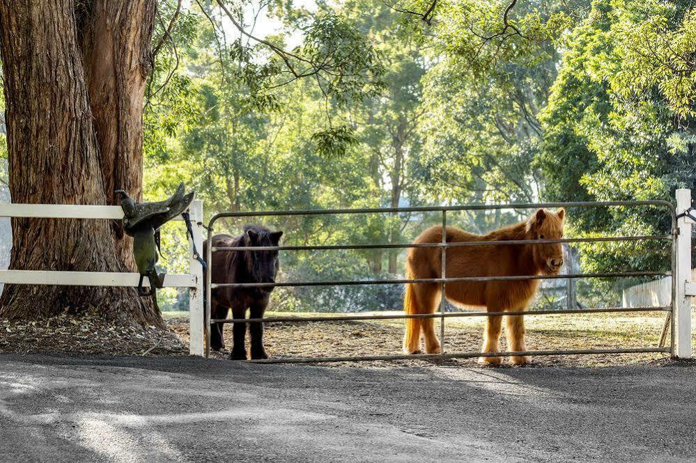 Verandah House Country Estate Mount Tamborine Exterior foto